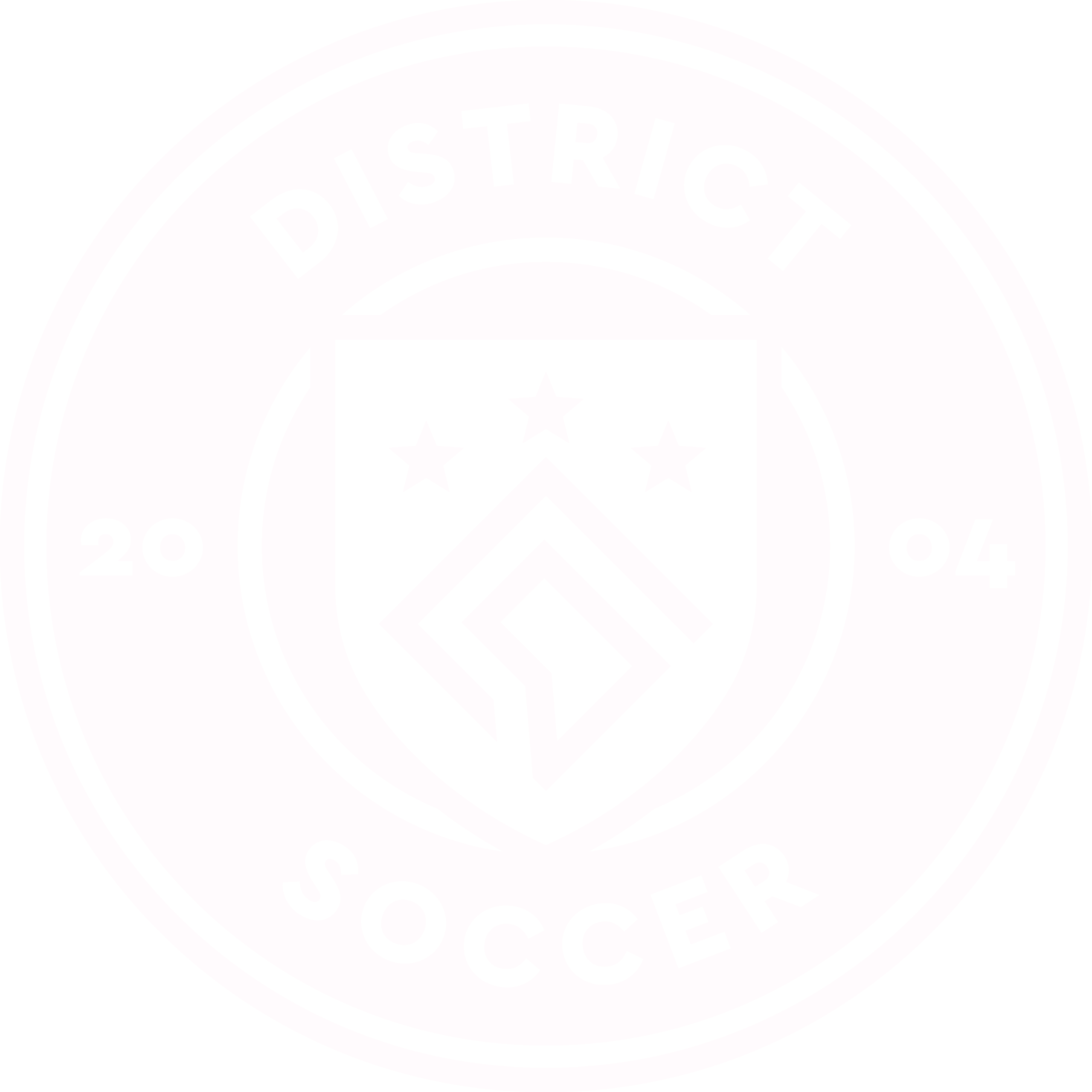 DS_Logo_Primary_White USE THIS ONE